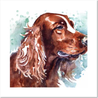 Watercolor Irish Setter - Dog Lovers Posters and Art